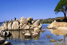 开云体育app-波兰横扫瑞士，萨内绝境逆转