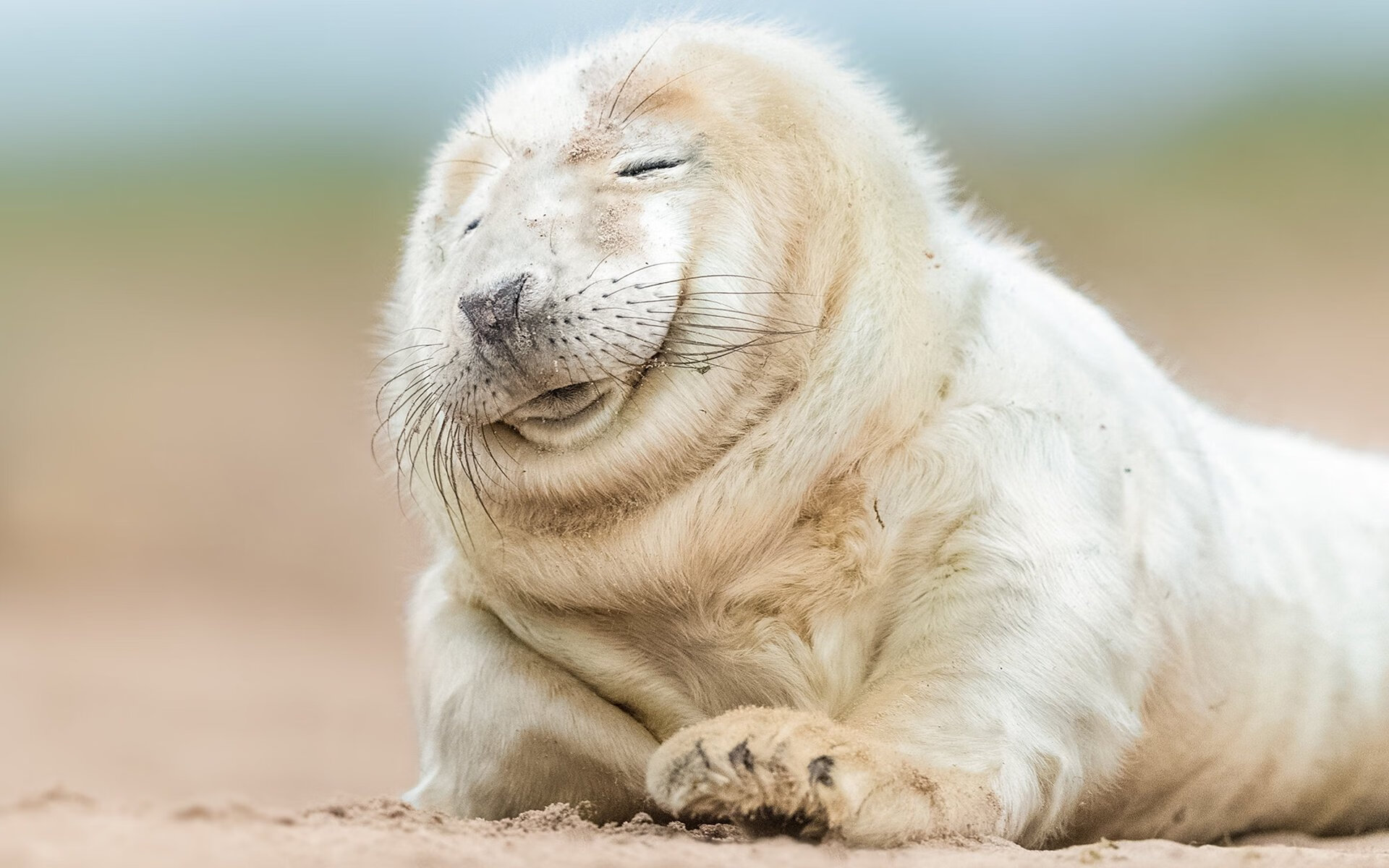 湿滑草地与粘滞红土间，阿尔卡拉斯如何重构大满贯的终极对决哲学