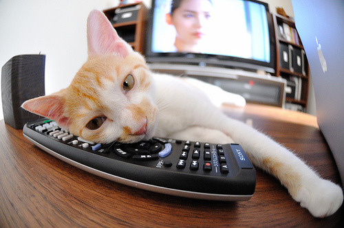 时空裂隙中的90分钟,当拜仁力克荷兰,阿什拉夫点燃的不仅是赛场