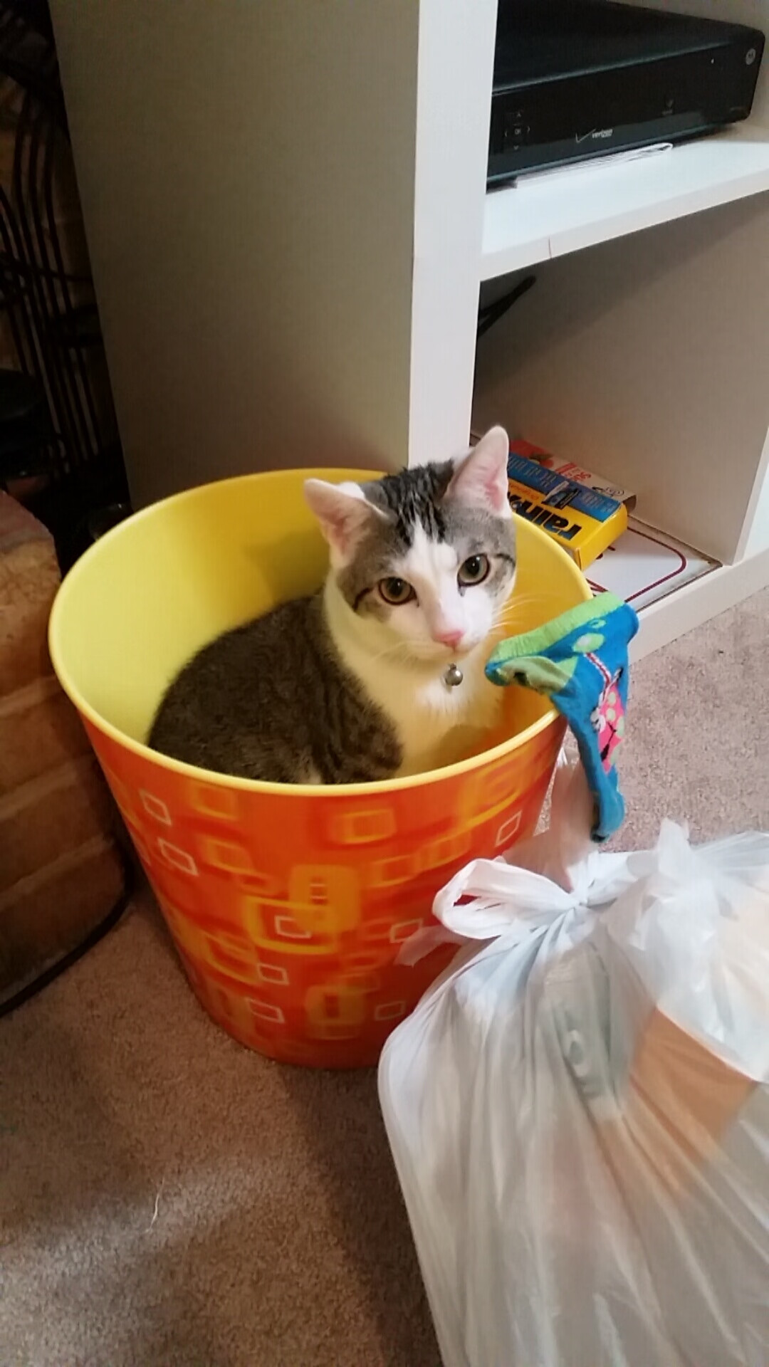 开云sport-骑士制胜时刻，锡安绝境爆发，一己之力击穿浙江队铁桶阵