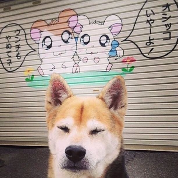 年度焦点之战，福克斯接管比赛，鹈鹕轻取掘金