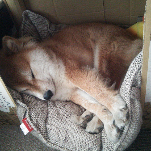 开云体育入口-天使之翼的魔法，迪马利亚连续得分拉开差距，皇马客胜莱比锡红牛