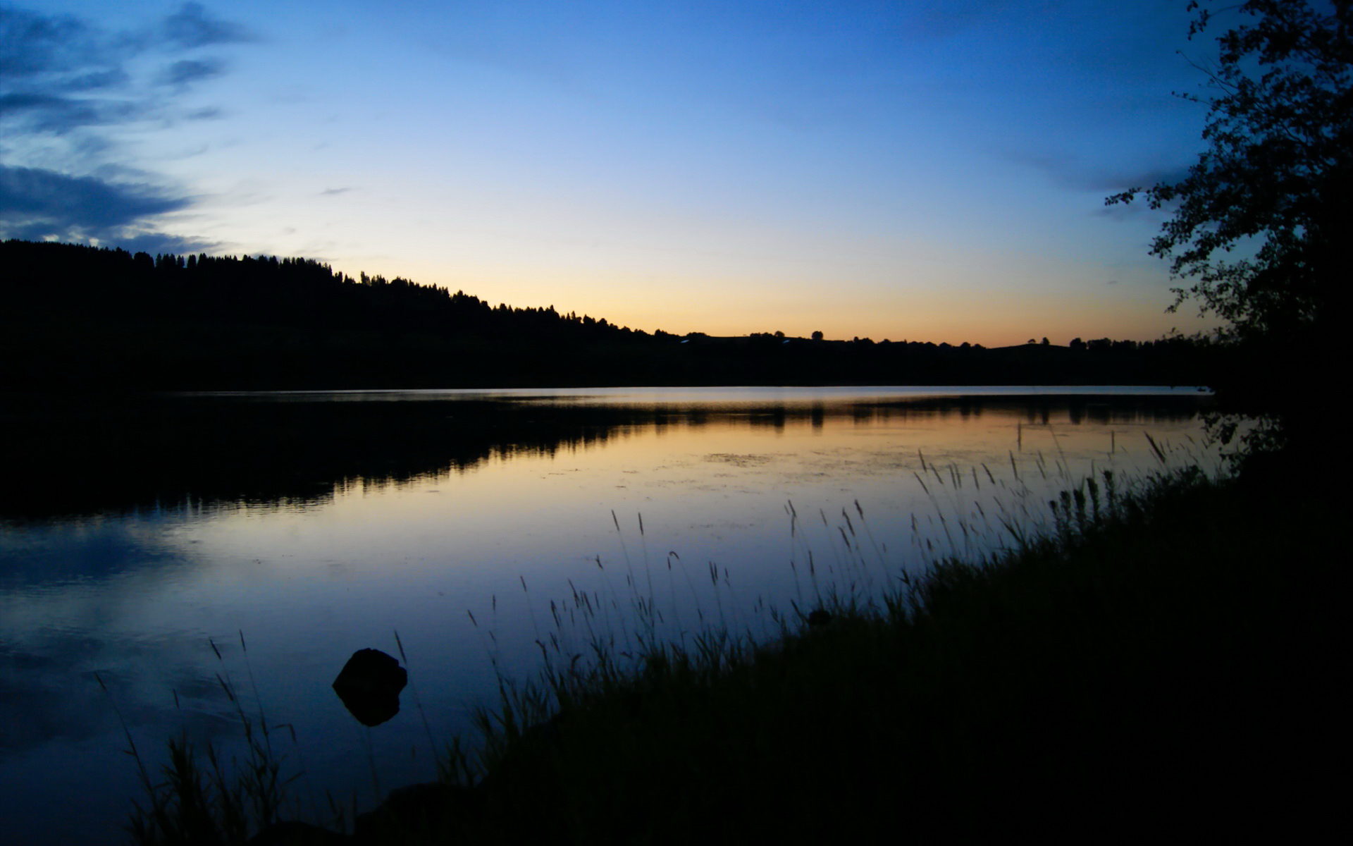 跨界奇迹，当辽宁队以团队篮球改写历史，文班亚马成决胜关键