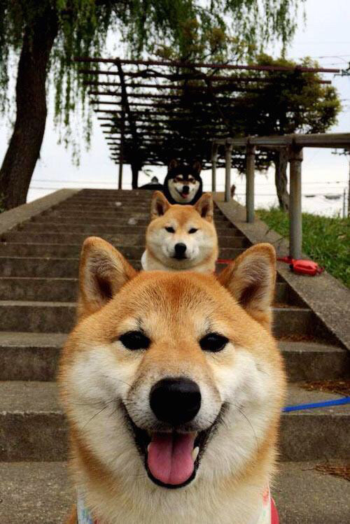 绿茵烽火与篮下硝烟,跨越时空的竞技哲学对话