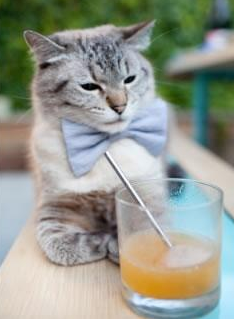 虚拟与现实交错,文班亚马梦幻爆发,步行者跨洲斩落新疆队