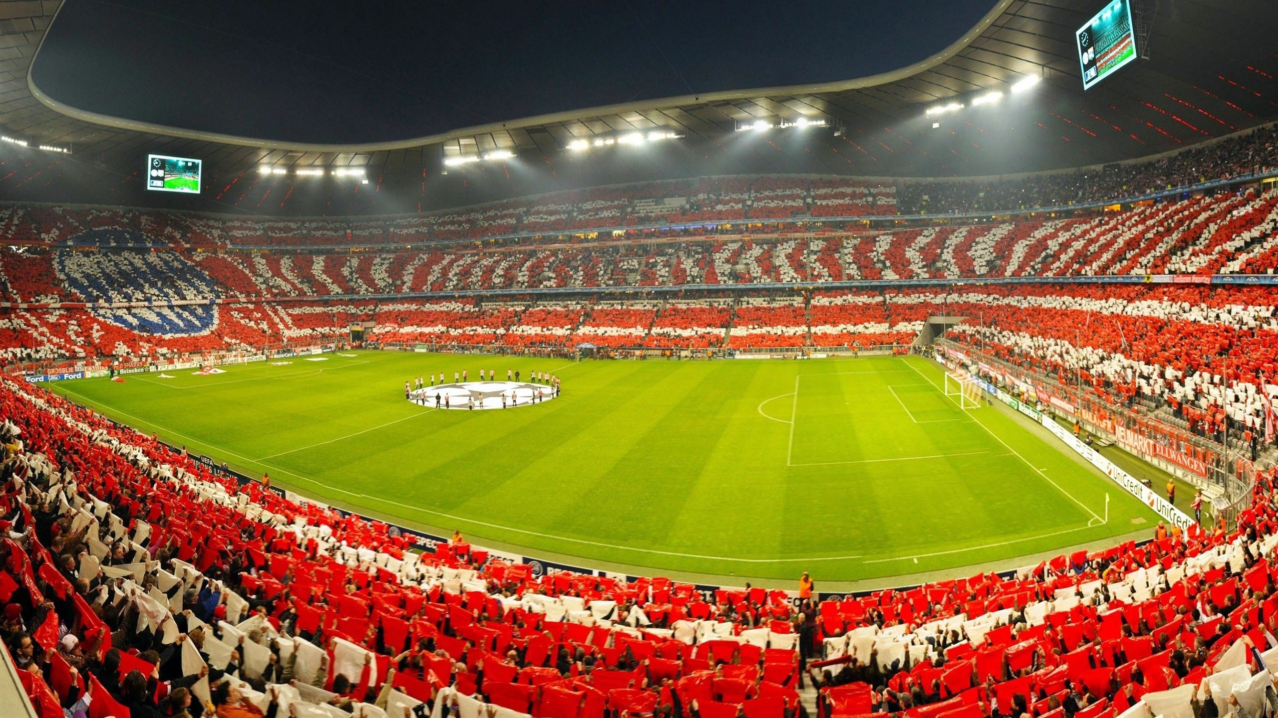 布鲁诺,今夜他是波士顿无解的费马大定理