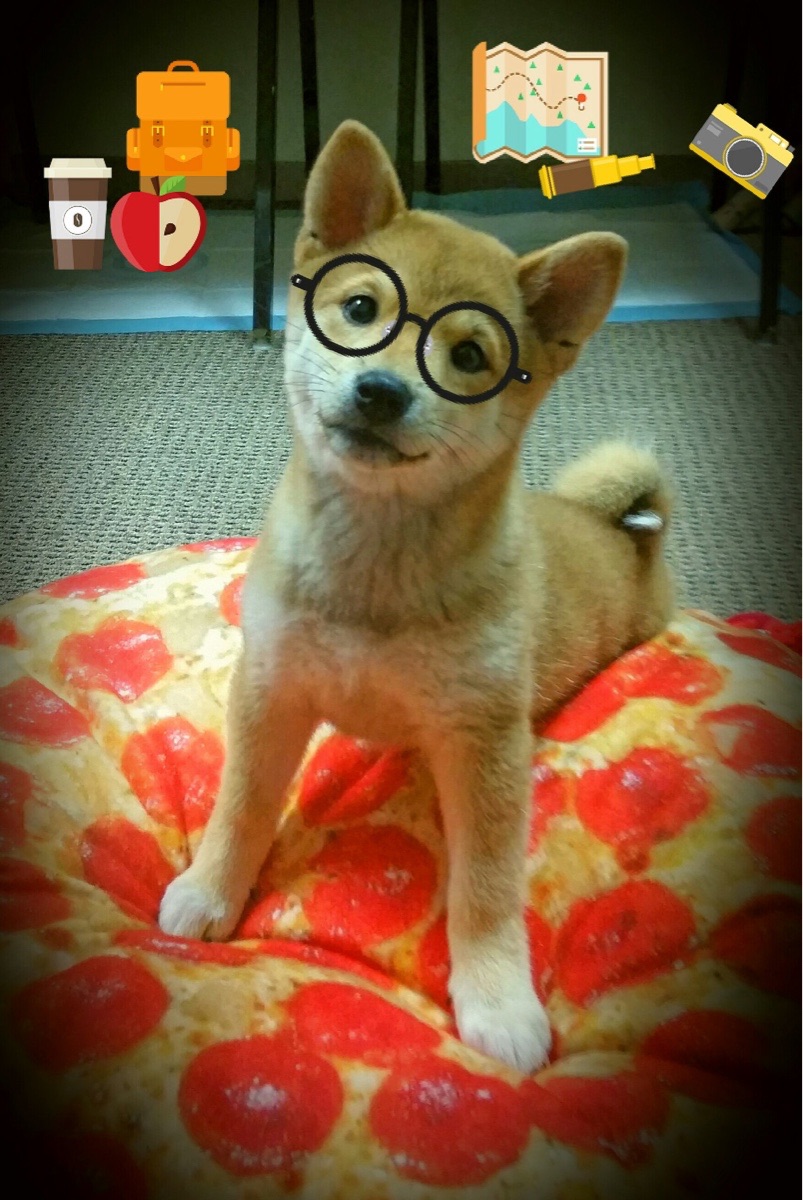 巴萨友谊赛4-0狂扫阿尔及利亚,久保建英两传一射惊艳四座