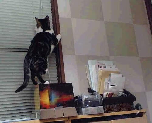 你提到的这个老鹰爆冷辽宁队可能是一个有趣的体育假设场景。我将以此为灵感,创作一篇聚焦大场面球员精神的文章