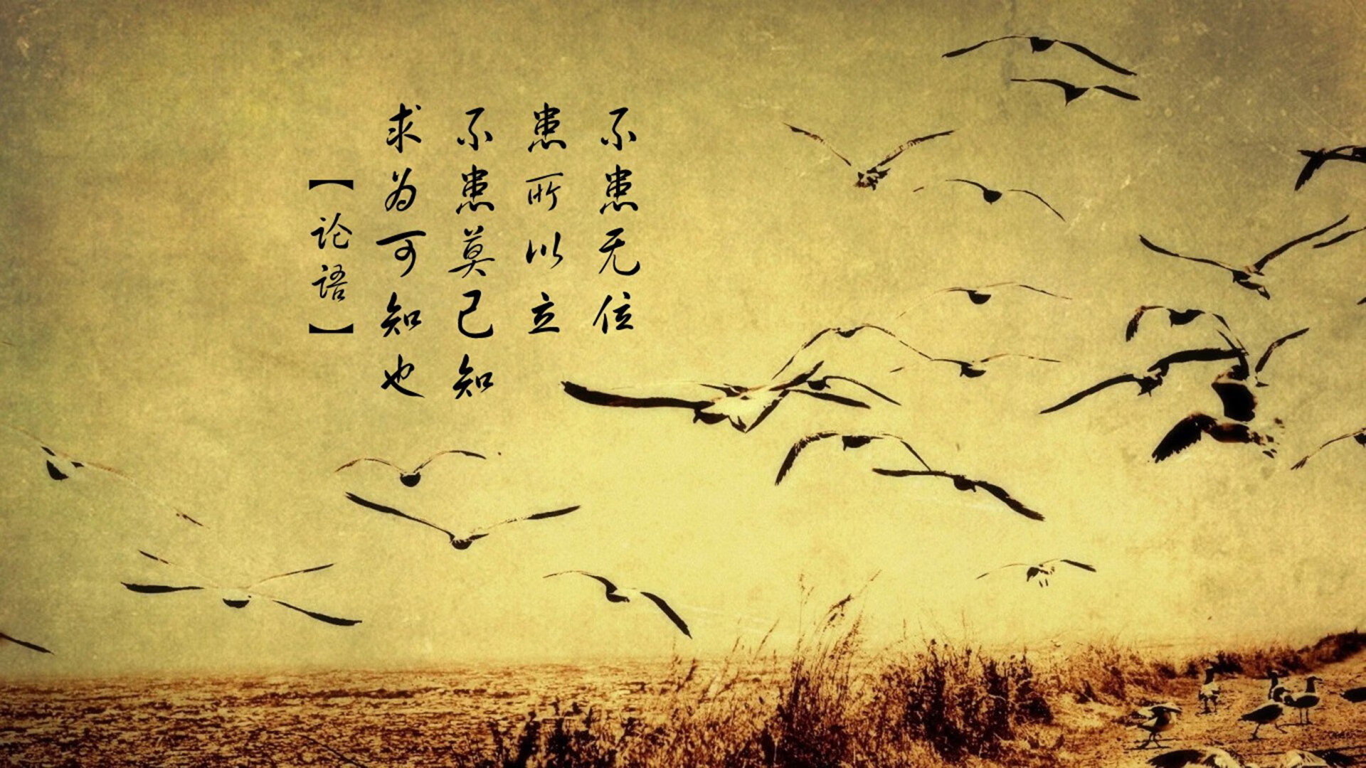 篮球异次元，当上海滩的呐喊穿透克利夫兰—英格拉姆的舞台，永远在最大的那一盏聚光灯下